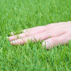 Item thumbnail for item eb2b725b-c099-47bd-893e-0c6b81e0e699