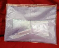 BTS FC継続特典 バッグインバッグ