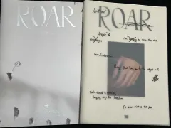 THE BOYZ(ザ・ボーイズ・ドボイズ) アルバム まとめ