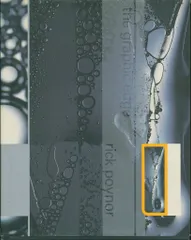 Rick Poynor the graphic edge