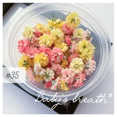 baby’s breath* ＃35　ドライフラワー　かすみ草