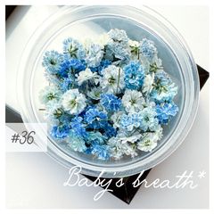 Item thumbnail for item d1daa9a0-0cdf-4ce8-babf-7ec98119d8c2