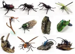 【中古】トレーディングフィギュア 全12種セット 「原色図鑑シリーズ15 原色日本昆虫図鑑I」