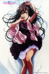 ストライク・ザ・ブラッドFINAL キャラアートグラフ 雨宿りver 絵画 ストライク・ザ・ブラッドFINAL キャラアートグラフ 雨宿りver