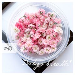 Item thumbnail for item c75cf2a6-13b7-40ea-94a1-39c68515143a