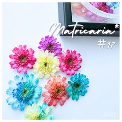 Item thumbnail for item fc644dc2-9344-4bd1-a3e2-23aec7bba685