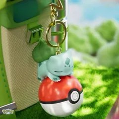 海外限定❣️ポケモン フシギダネ 居眠りver ライト機能付き キーホルダー ストラップ