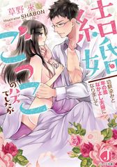 結婚ごっこのハズでしたが 幼馴染みと年の差なかよし夫婦になりまして/ＫＡＤＯＫＡＷＡ/草野來（文庫）