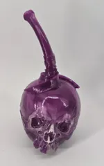 2026年最新】パスヘッドSOURの人気アイテム - メルカリ