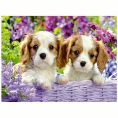 【売りつくしセール中】ダイヤモンド アートキット 【花に囲まれた2匹の子犬】 ラウンドビーズ　40