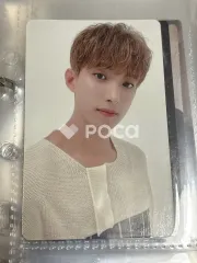 SEVENTEEN ドギョム セブチ Seventeen 2022 SEASON'S GREETINGS