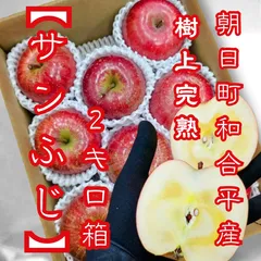 ★東北〜関西エリア専用★樹上完熟★朝日町和合平産 サンふじ 2キロ箱 7〜10玉前後