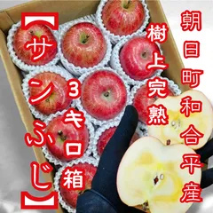 ★東北〜関西エリア専用★樹上完熟★朝日町和合平産 サンふじ 3キロ箱 10〜13玉前後玉前後