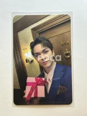 Seventeen バーノン セブチ SPILL THE FEELS CARAT Ver.