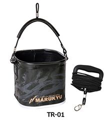 Item thumbnail for item 1a70d881-5720-47d1-bc67-f66fd949babd