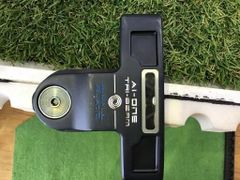 Item thumbnail for item 3dd3a823-9d79-4f25-aaf5-8552498d4def