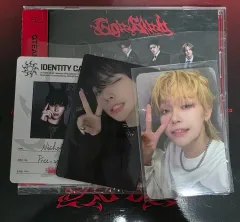 アンドチーム ニコラス ゴーインブラインド スタンダード セット