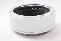 Item thumbnail for item 63abf895-ce22-402e-8821-c99eedad2f4e