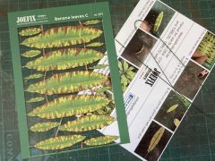 Item thumbnail for item 78b28763-29cb-4291-a5e0-028636d8dd34