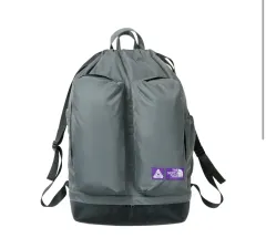 THE NORTH FACE ザノースフェイス パレス バックパック 新品 商品