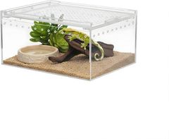 Item thumbnail for item 583f89da-6316-459a-97f4-94d338a8601c