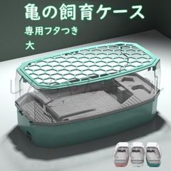 Item thumbnail for item 80e70876-e3e2-4ece-a3c2-dcbe3d3bb85e