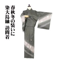 着物と帯 時流】SK26667◇洗える夏着物 小紋◇美品 絽 - メルカリ