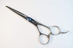 Item thumbnail for item e542e523-fc68-40af-a1d7-0d7687d31bc3