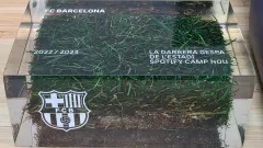 2026年最新】カンプノウ 芝の人気アイテム - メルカリ