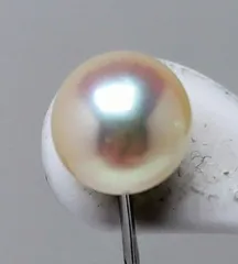 色テリ、花珠級 あこや真珠 8.2mmUP 直結イヤリング