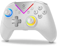 Switchコントローラー連射ホールドSwitch1/2代对応スイッチプロコンマクロ機能TURBO自動連射機能6軸ジャイロセンサー搭載4階段HD振動背面ボタン付き11色RGBライトゼロ遅延無線接続1000mAh大容量