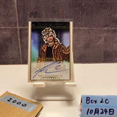 Item thumbnail for item 8f9178be-5976-439b-818b-70c3bd543d7d