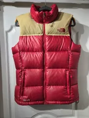 THE NORTH FACE ザ・ノース・フェイス ヌプシ 700 LTD 限定モデル グースダウン ベスト