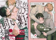 三交社 KiR comics nocori 職場のイケメン営業は理想の飼い主様 特装版 小冊子付 2