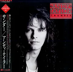 2026年最新】アンディテイラーの人気アイテム - メルカリ