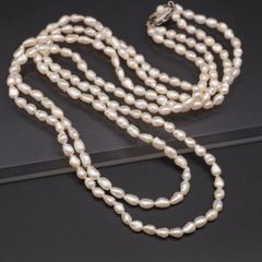 Item thumbnail for item d5dea9f9-bce8-48cd-8c91-5c167e0b171f