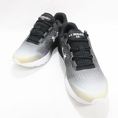 Item thumbnail for item 0a1f46ed-c2dd-4b44-b556-16f97c5ce533