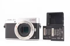 2026年最新】lumix gf9の人気アイテム - メルカリ