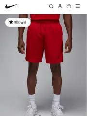 ナイキ ジョーダン ハーフパンツ L