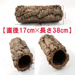 【特大】5本まとめて　バージンコルク　キャノン型 2026年最新】Yahoo!オークション -コルク キヤノンの中古品・新品・未