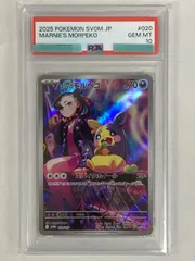 マリィのモルペコ [スターターセットex マリィのモルペコ＆オーロンゲ