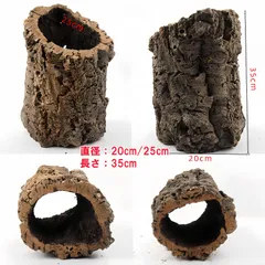 2025年最新】コルク樹皮 キャノンの人気アイテム - メルカリ