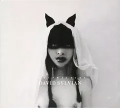 2026年最新】david sylvianの人気アイテム - メルカリ
