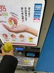 2026年最新】シーク様の人気アイテム - メルカリ