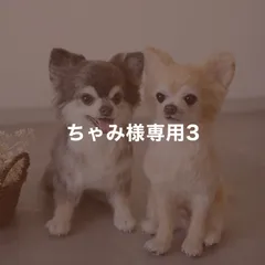 ちゃみ様専用3