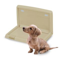 Item thumbnail for item ae78839b-5ea0-4428-8569-adfbca6bb40d