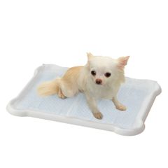 Item thumbnail for item ea3b0de5-c43b-4236-955c-d7b42f0090ee