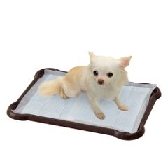 Item thumbnail for item c64405f3-40b7-4b5c-a213-9f118c1dcf46