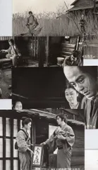 東宝 いのちぼうにふろう　スチール まとめ