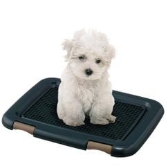 Item thumbnail for item fb4bc449-9079-4928-a2ff-532eebfc006e